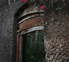 Termites eating 18th Century door destruction series; F**k off the Isle. by jemmanyagah