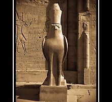 Horus on watch by Boadicea