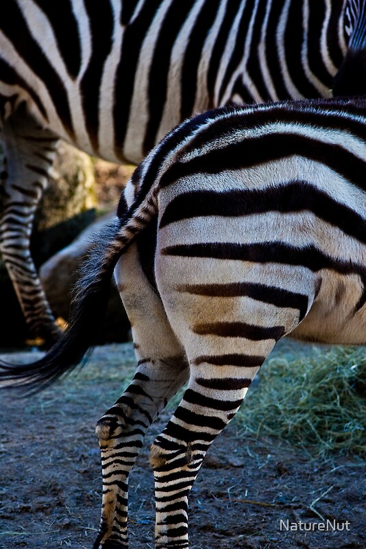 "Zebra Tail" by NatureNut Redbubble