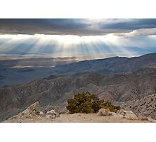 "Mojave Desert Sunset" by Nickolay Stanev | Redbubble