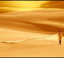 Sojourn on the Dunes of Malabar by Julian Wilde