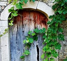 knock knock by Raymond Capozzi