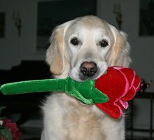 Ditte with her newest toy by Trine