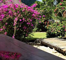 Moorea Morning by Tyler Core