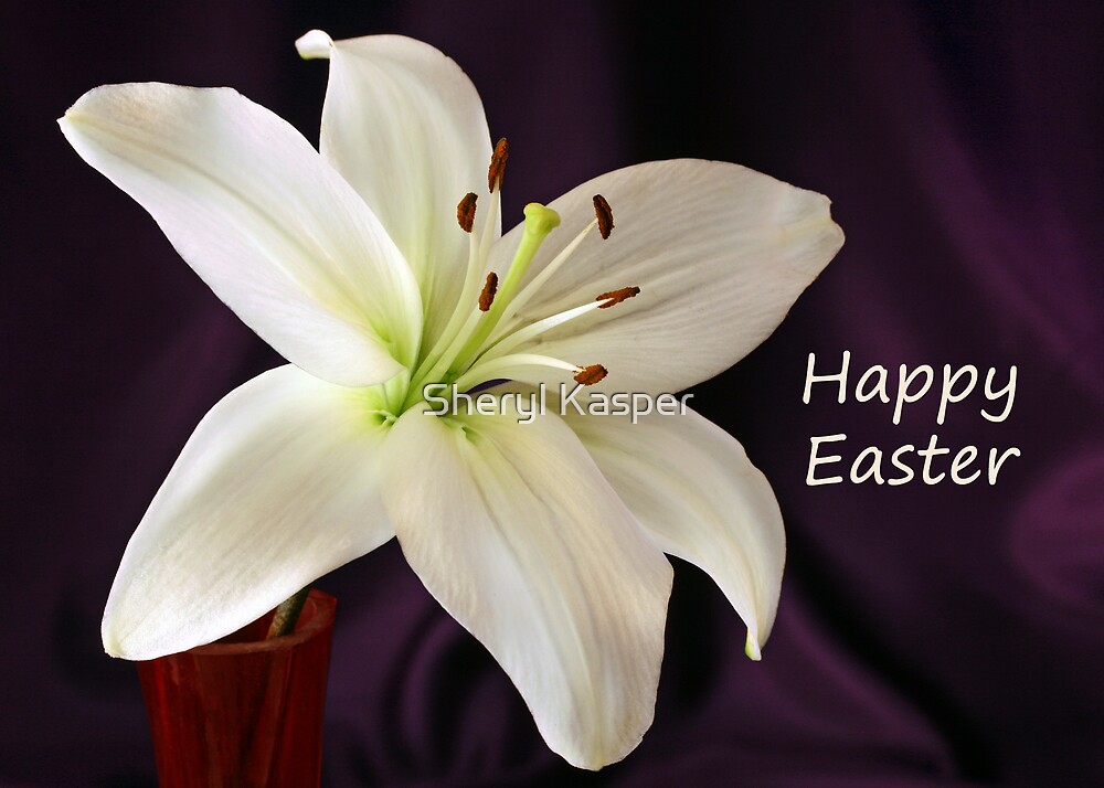 "Happy Easter Lily" by Sheryl Kasper Redbubble