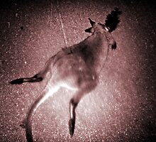 roadkill 2 by Vimm