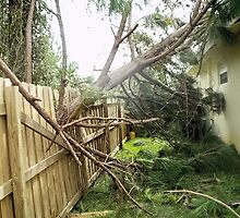 If a Tree Falls on Your House.... by Donna Adamski