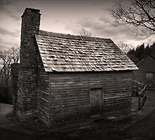 Brinegar Cabin by Patricia Montgomery