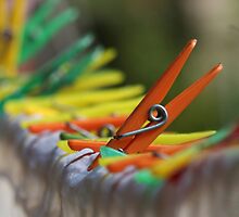 One in the Crowd by Elizabeth Bravo
