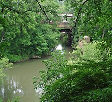 Muddy Stream by Richard Williams