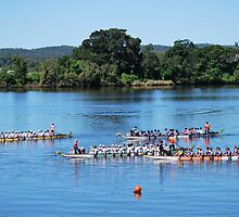 Dragon Racing - getting lined up to Start !!! by Heabar