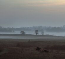 Once in the morning by Antanas