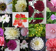 All About Flowers by pat oubridge