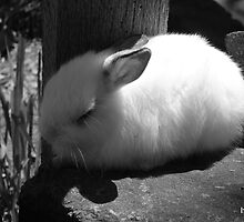 Beautiful dreamer, black and white by InKibus