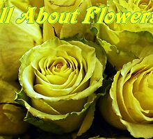All about Flowers by LudaNayvelt