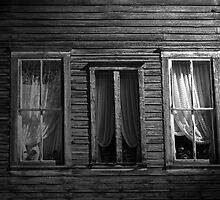 Windows by Matt Farley