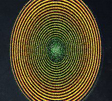 REVERBERATION (RÉVERBÉRATION) by Paul Quixote Alleyne