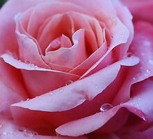 for my second mom with all my love by BettinaSchwarz