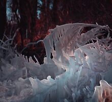 Tsi-noo the Guardian of the Ice Souls by Mystic Raven 9