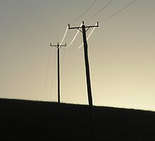 Wired by Eunice Atkins