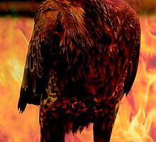 FIREBIRD ll by Gail Bridger