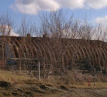 What is the name of this type of Building? SOLVED on First guess by Marvin, on the nose~ QUONSET HUT! by Larry Llewellyn