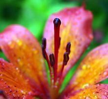the artist's interpretation on nature's innuendo II by KreddibleTrout