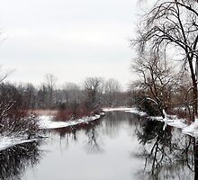 Winter Repose by enchantedImages