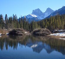 Beaver dam by zumi