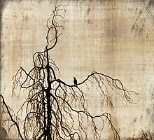 desolate by littleny