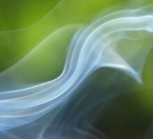 Ephemeral by Ann Palframan