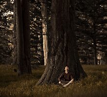 Keep Looking by Alex Shahmiri