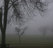 Engulfed in Fog by Karen Checca