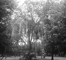 Parque Omar by Victoria Palma