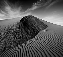 Essence of Beauty by Garry Schlatter