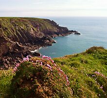 St Ann's Head, Pembrokeshire by Paul Davey