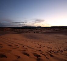 Coral Pink Sand Dunes State Park by krasakala