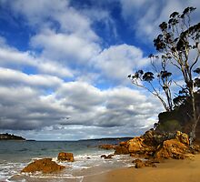 Cocora Beach - Eden by Darren Stones