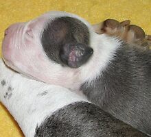 Asleep With Mom by Ginny York