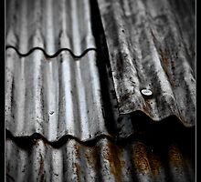 Shearing Shed by yorgi