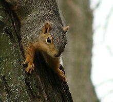 Checking things out by Deidra Scoggins
