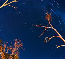 into the vortex by Sean Makin