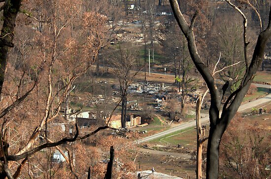 Bushfire Aftermath