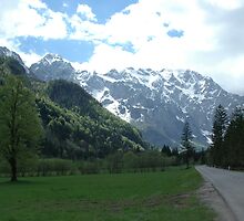 Road trip to the Alps by Diego Marando