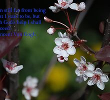 I Shall Succeed by Elizabeth Cortez