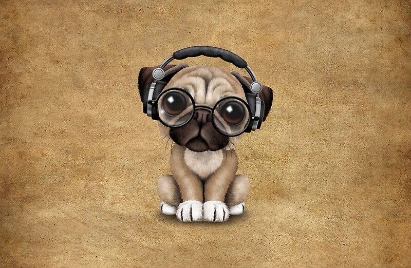 "Cute Pug Puppy Dj Wearing Headphones and Glasses" Studio Pouches by