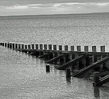 Tranquility by Rachael Lynch