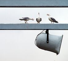 The Great Debate by Myron Watamaniuk