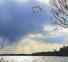 Trying to get a lift out of life.... by LizzyGee