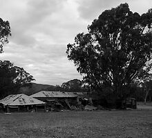 The Old Shearing Shed - II by rflower